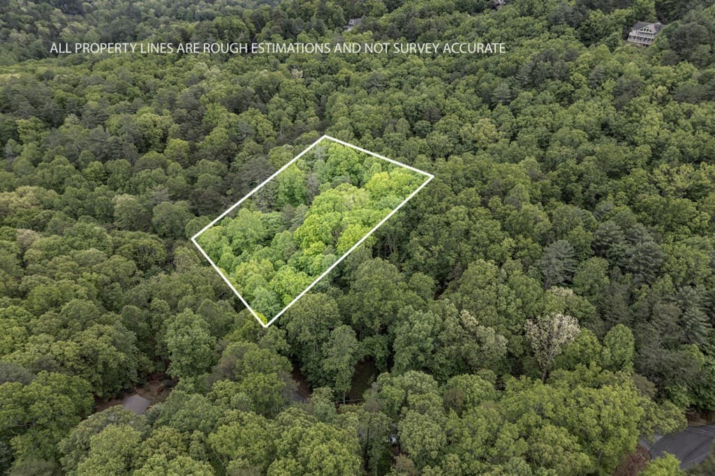 Lot 17 Lower Gap Road, Sautee Nacoochee GA 30571 - Photo