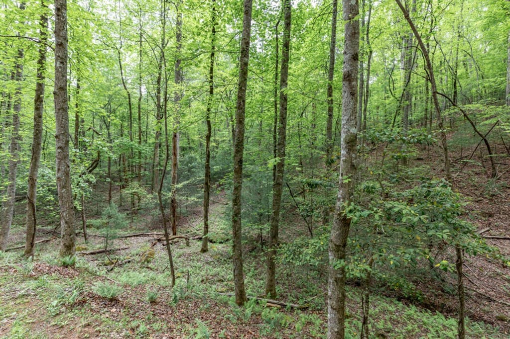 Lot 17 Lower Gap Road, Sautee Nacoochee GA 30571 - Photo