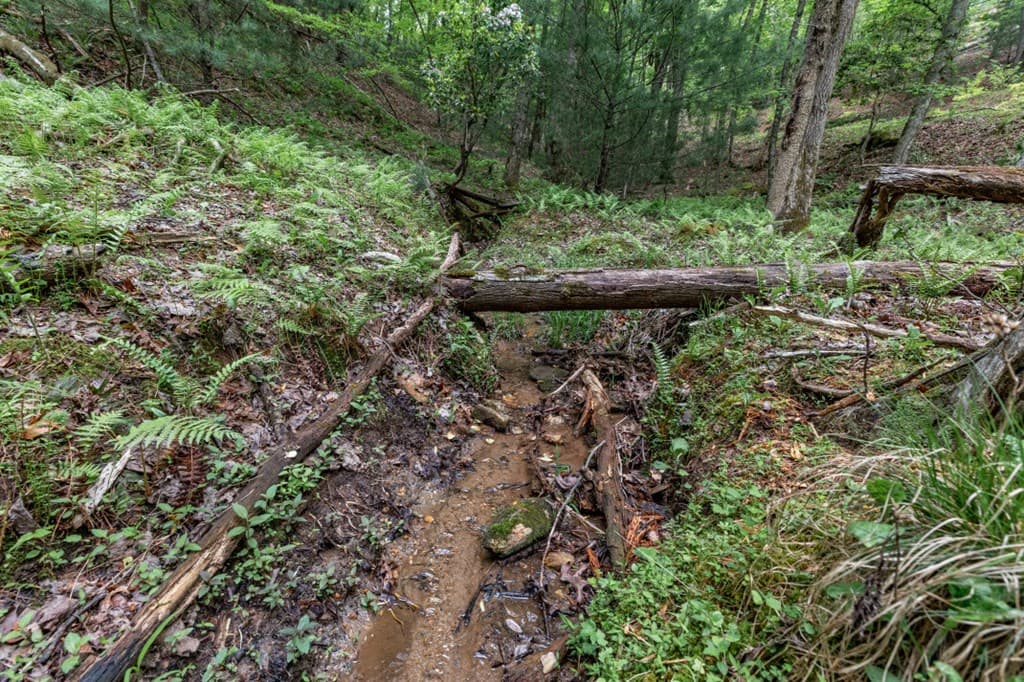 Lot 17 Lower Gap Road, Sautee Nacoochee GA 30571 - Photo