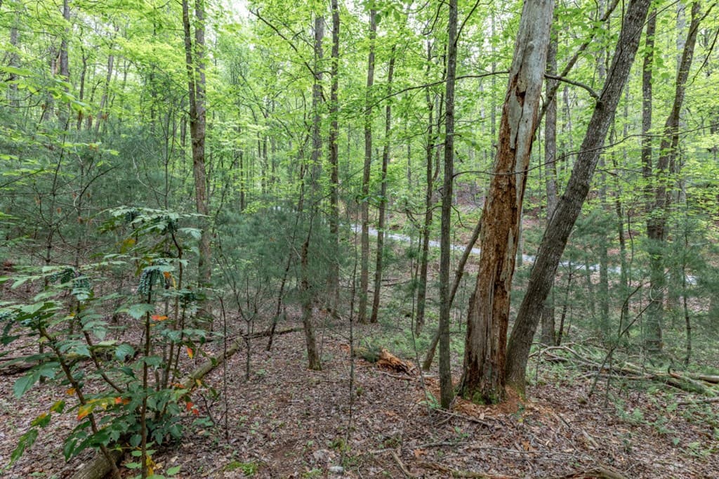 Lot 17 Lower Gap Road, Sautee Nacoochee GA 30571 - Photo