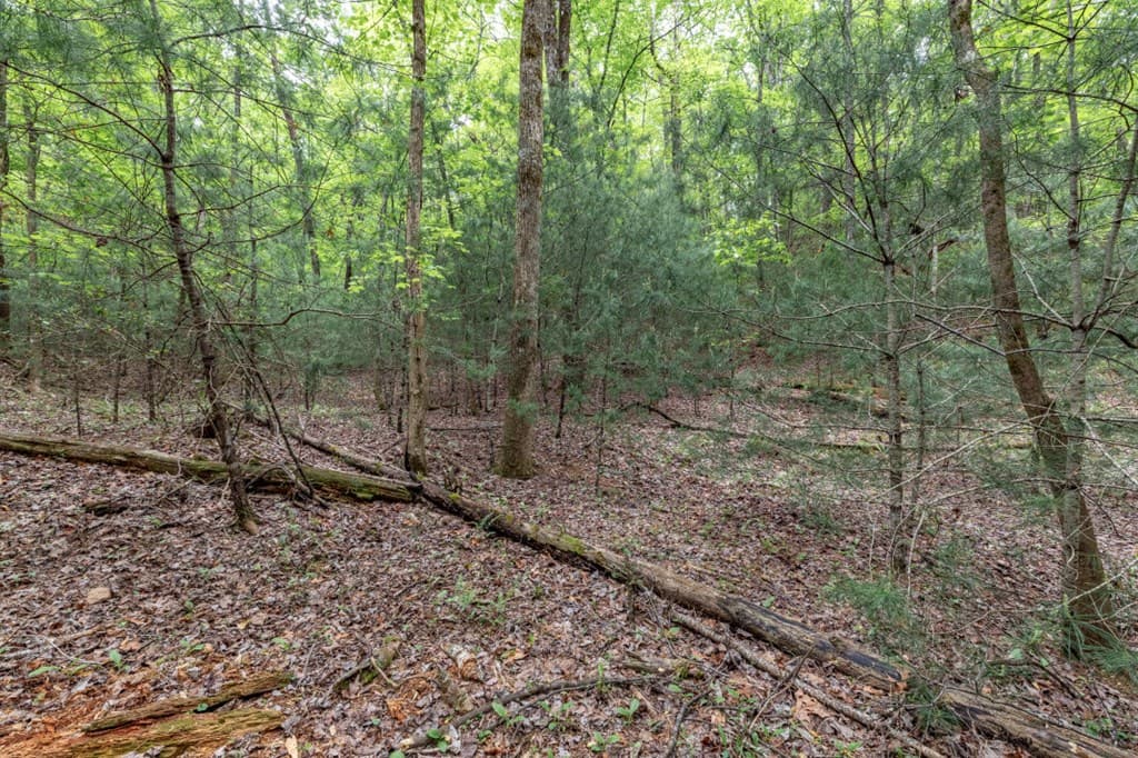 Lot 17 Lower Gap Road, Sautee Nacoochee GA 30571 - Photo