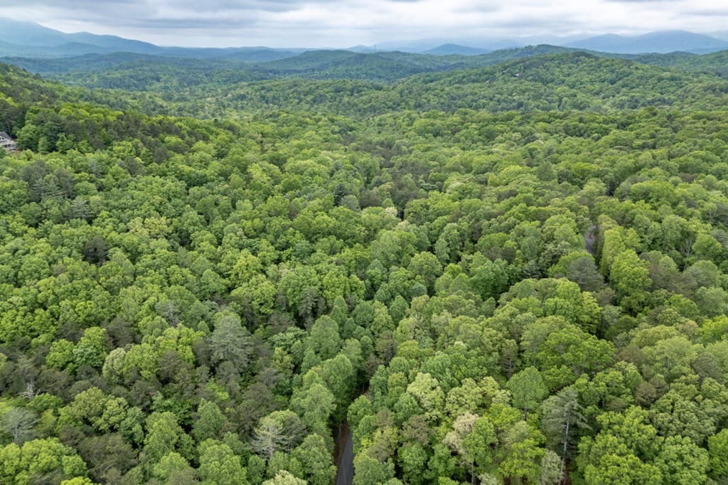 Lot 17 Lower Gap Road, Sautee Nacoochee GA 30571 - Photo
