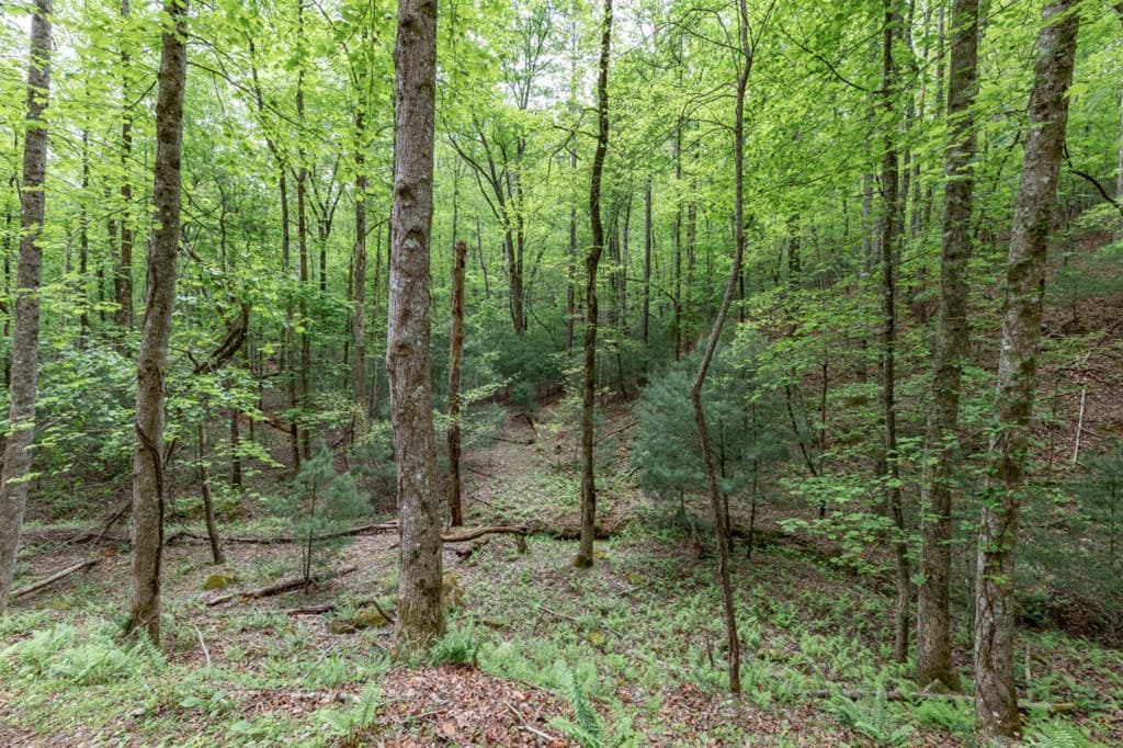 Lot 17 Lower Gap Road, Sautee Nacoochee GA 30571 - Photo