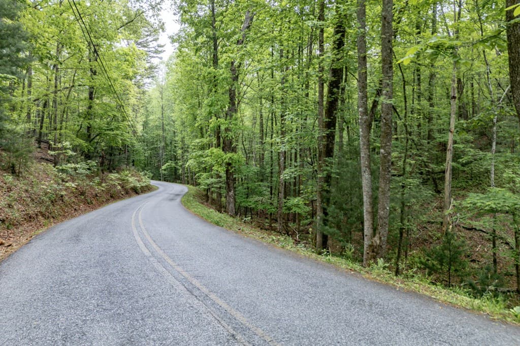 Lot 17 Lower Gap Road, Sautee Nacoochee GA 30571 - Photo
