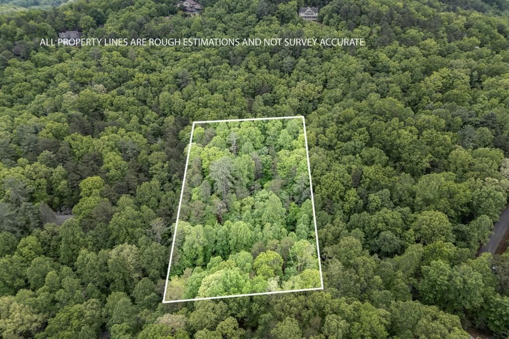 Lot 17 Lower Gap Road, Sautee Nacoochee GA 30571 - Primary photo