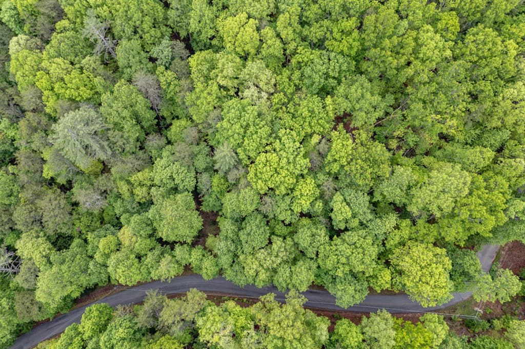 Lot 17 Lower Gap Road, Sautee Nacoochee GA 30571 - Photo