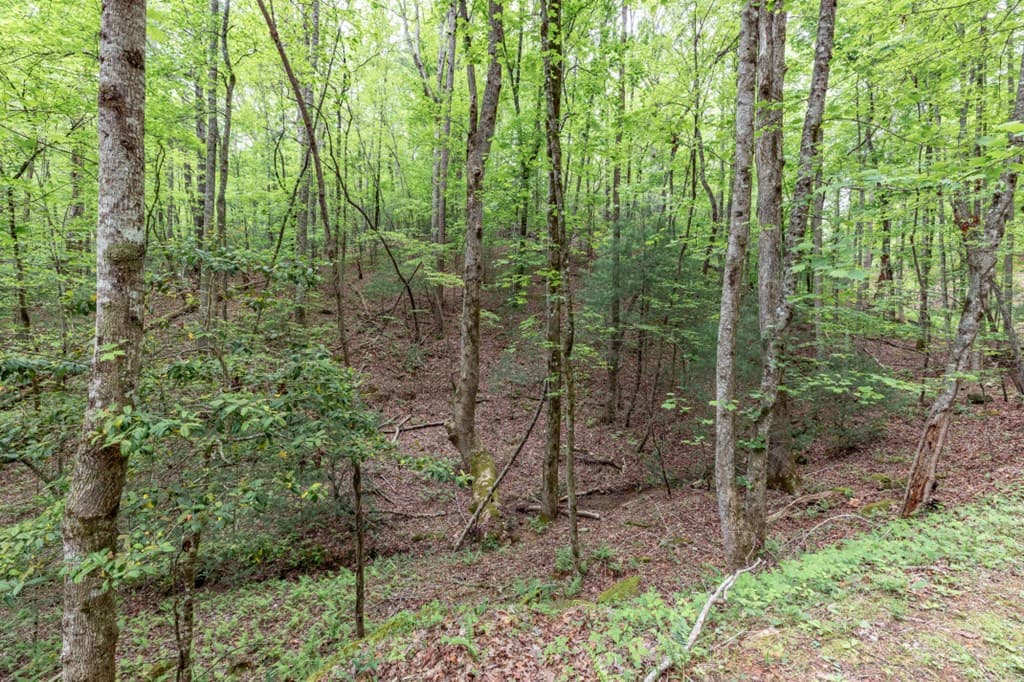 Lot 17 Lower Gap Road, Sautee Nacoochee GA 30571 - Photo