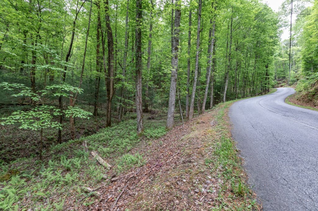 Lot 17 Lower Gap Road, Sautee Nacoochee GA 30571 - Photo