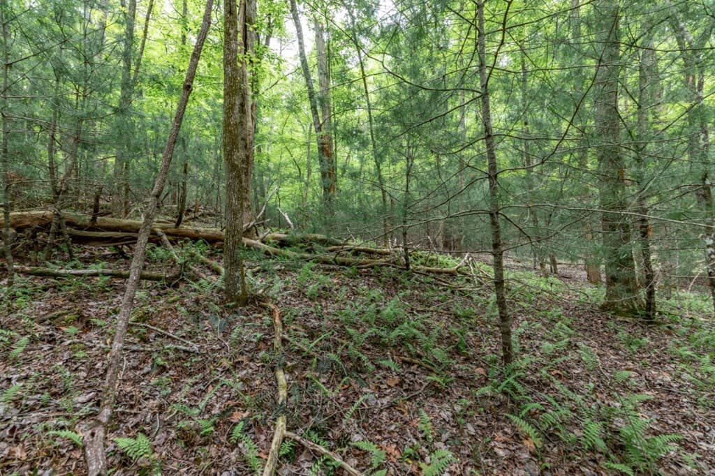 Lot 17 Lower Gap Road, Sautee Nacoochee GA 30571 - Photo