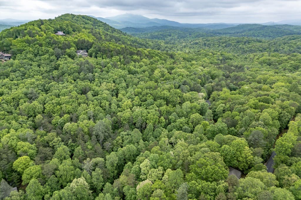 Lot 17 Lower Gap Road, Sautee Nacoochee GA 30571 - Photo