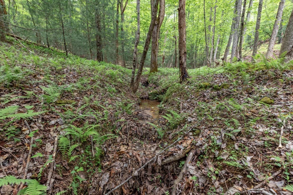 Lot 17 Lower Gap Road, Sautee Nacoochee GA 30571 - Photo