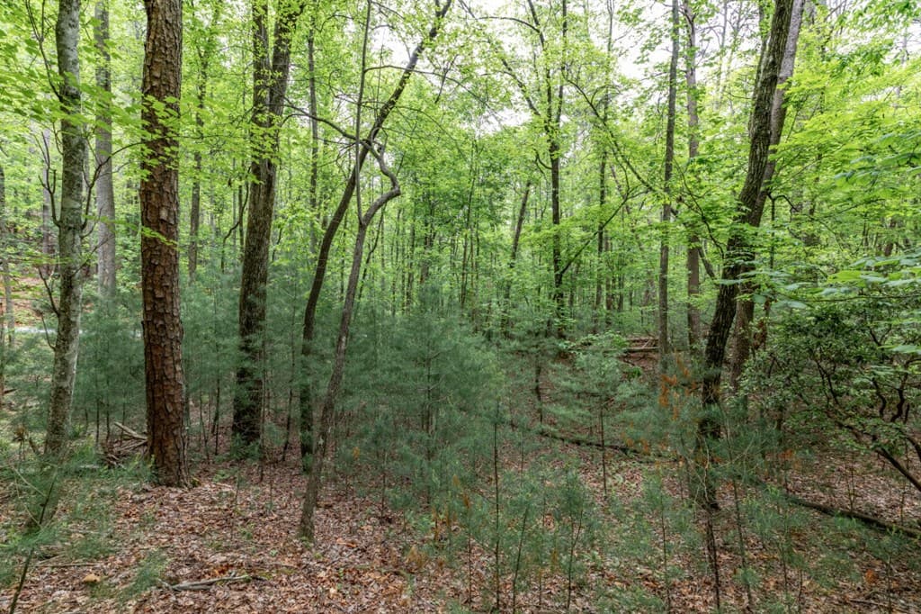 Lot 17 Lower Gap Road, Sautee Nacoochee GA 30571 - Photo