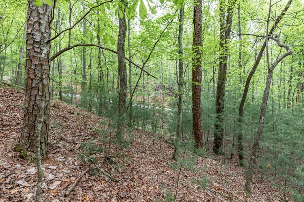 Lot 17 Lower Gap Road, Sautee Nacoochee GA 30571 - Photo