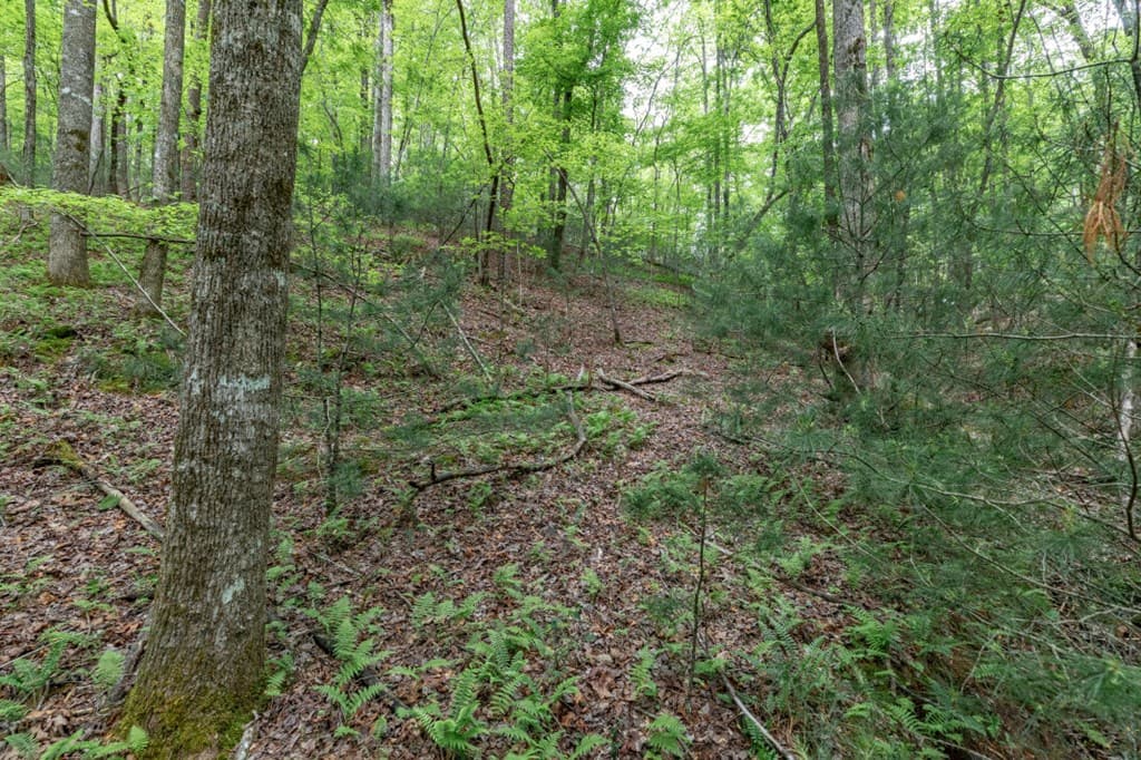 Lot 17 Lower Gap Road, Sautee Nacoochee GA 30571 - Photo
