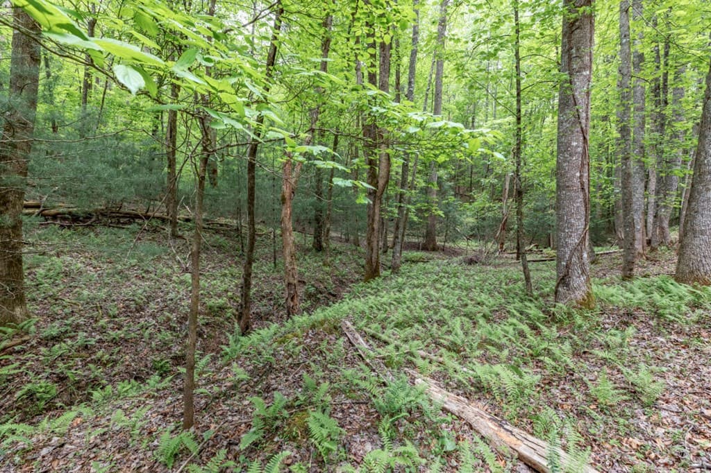 Lot 17 Lower Gap Road, Sautee Nacoochee GA 30571 - Photo