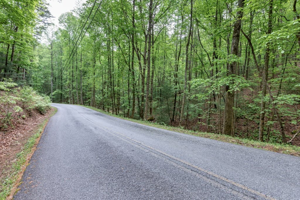 Lot 17 Lower Gap Road, Sautee Nacoochee GA 30571 - Photo