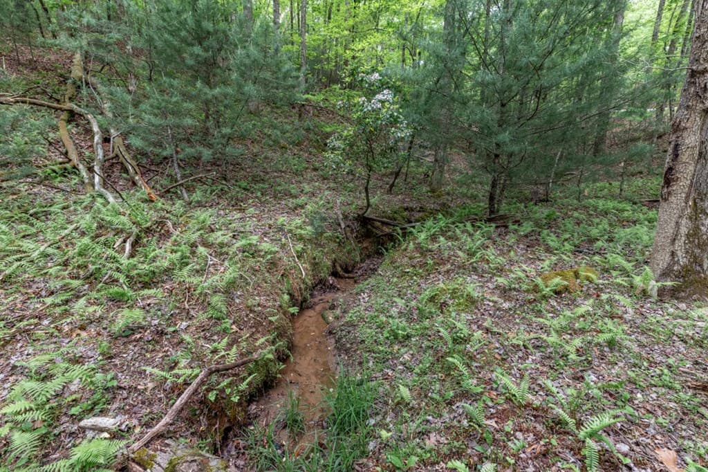 Lot 17 Lower Gap Road, Sautee Nacoochee GA 30571 - Photo