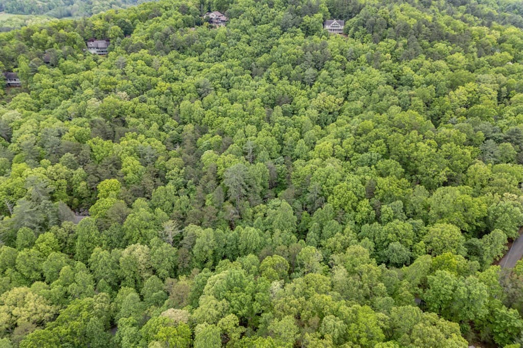 Lot 17 Lower Gap Road, Sautee Nacoochee GA 30571 - Photo
