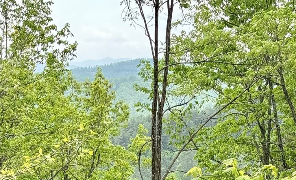 Lot 4-25 Sahkanaga Drive, Murphy NC 28906 - Photo
