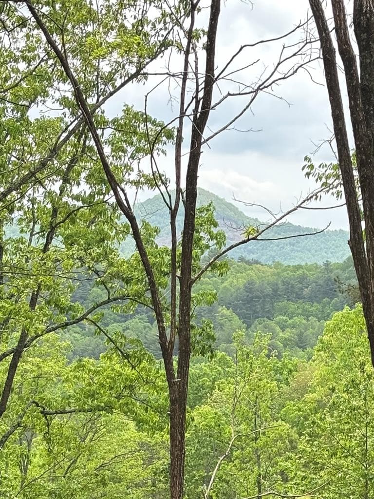 Lot 4-25 Sahkanaga Drive, Murphy NC 28906 - Photo