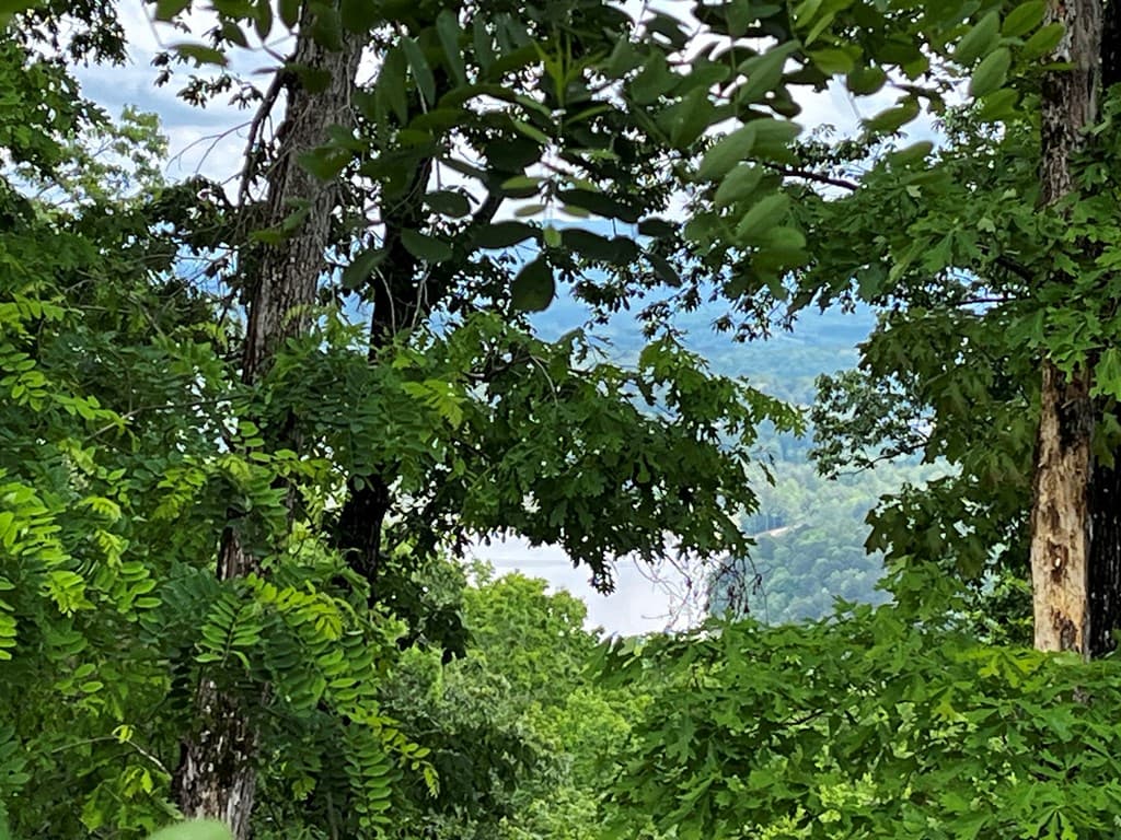 Lot 103 Highland Park, Blairsville GA 30512 - Photo