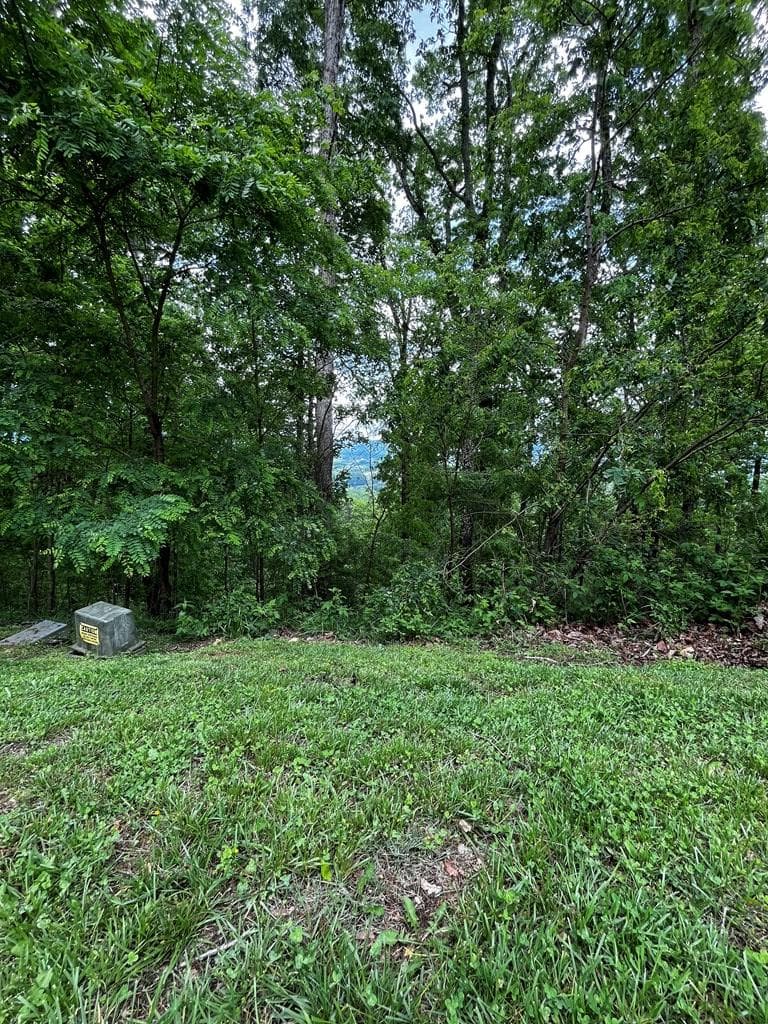 Lot 103 Highland Park, Blairsville GA 30512 - Photo