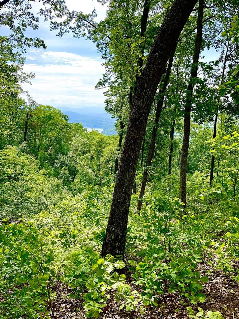Lot 103 Highland Park, Blairsville GA 30512 - Photo