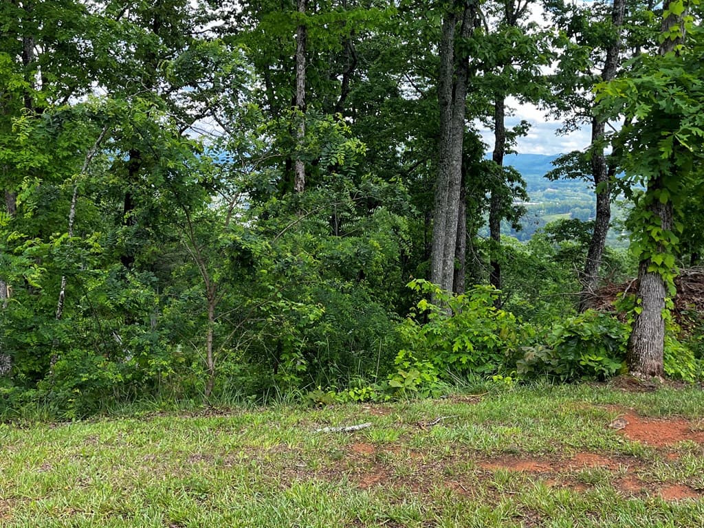 Lot 103 Highland Park, Blairsville GA 30512 - Photo