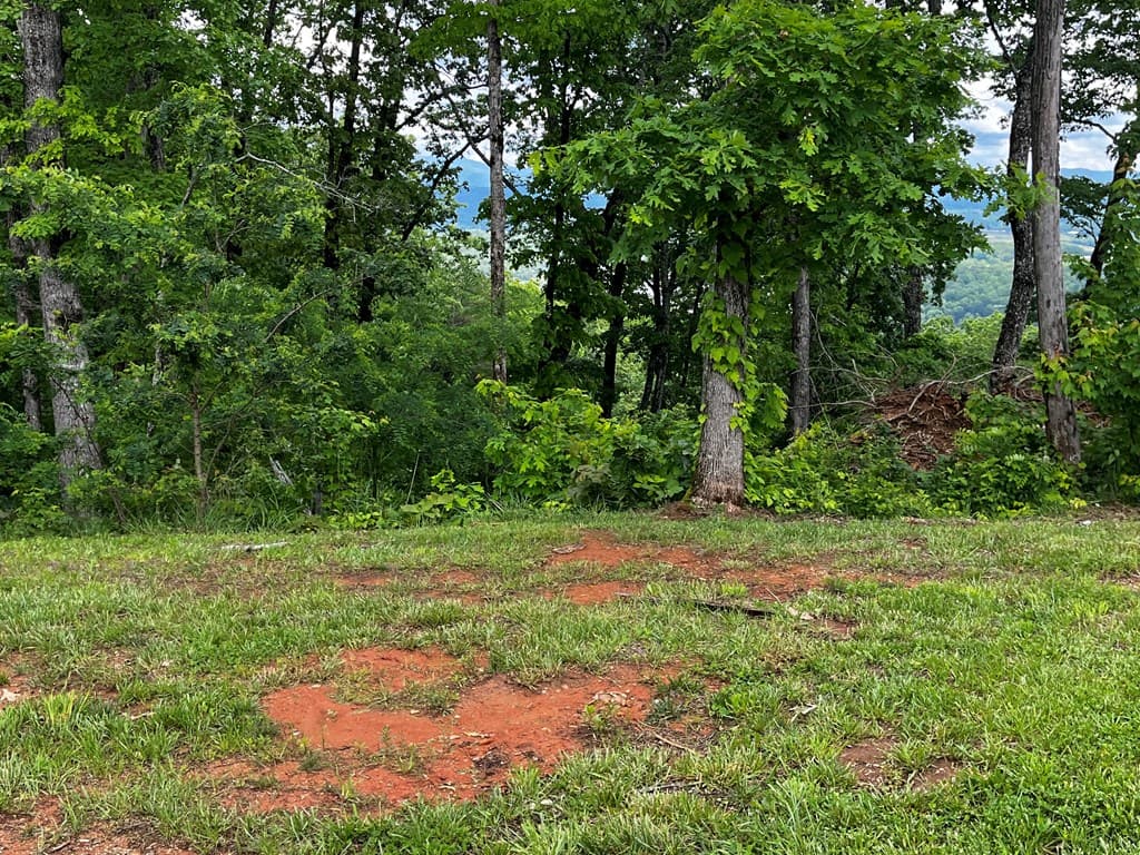 Lot 103 Highland Park, Blairsville GA 30512 - Photo