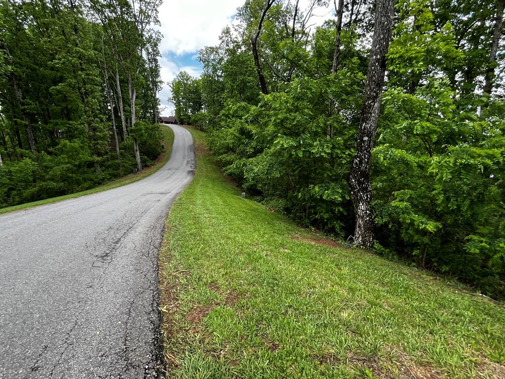 Lot 103 Highland Park, Blairsville GA 30512 - Photo