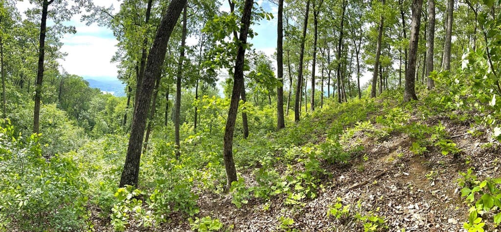 Lot 103 Highland Park, Blairsville GA 30512 - Photo