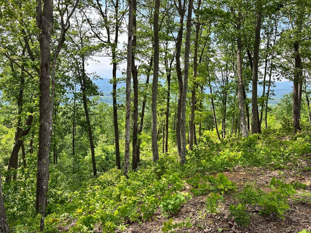 Lot 103 Highland Park, Blairsville GA 30512 - Photo