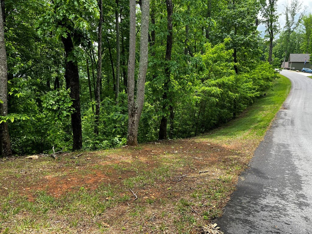 Lot 103 Highland Park, Blairsville GA 30512 - Photo