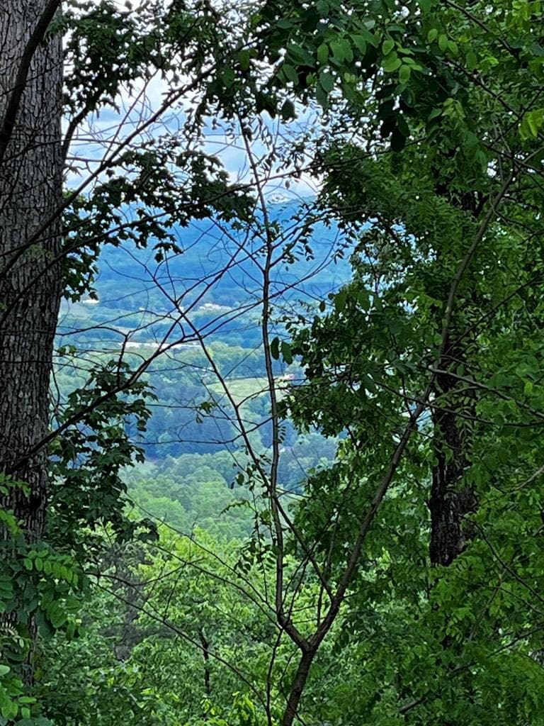 Lot 103 Highland Park, Blairsville GA 30512 - Photo