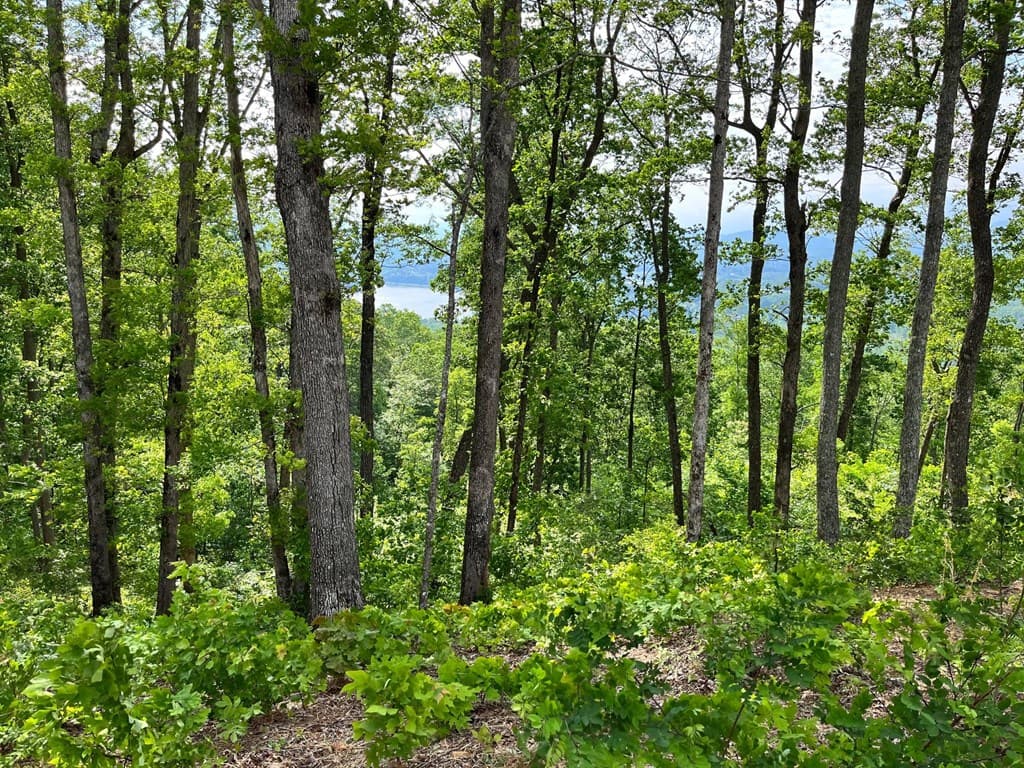 Lot 103 Highland Park, Blairsville GA 30512 - Photo