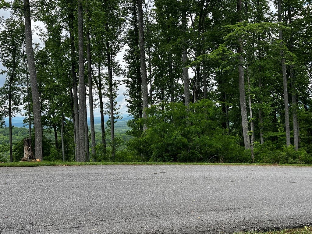 Lot 103 Highland Park, Blairsville GA 30512 - Photo