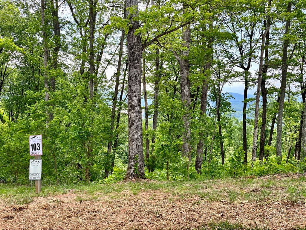 Lot 103 Highland Park, Blairsville GA 30512 - Photo