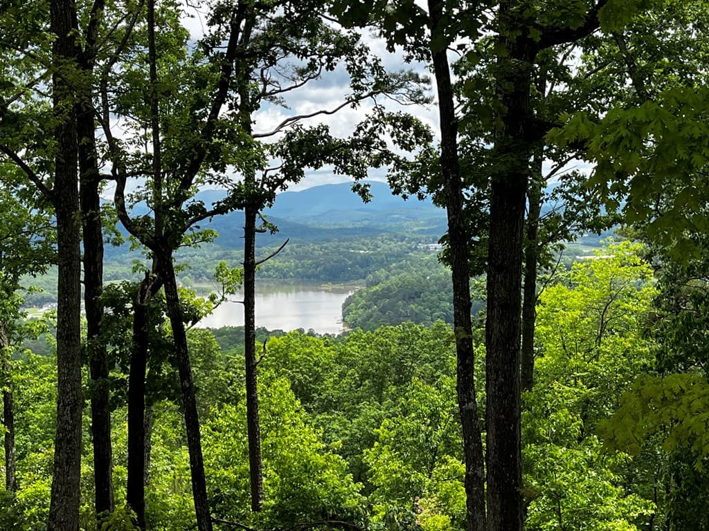 Lot 103 Highland Park, Blairsville GA 30512 - Photo