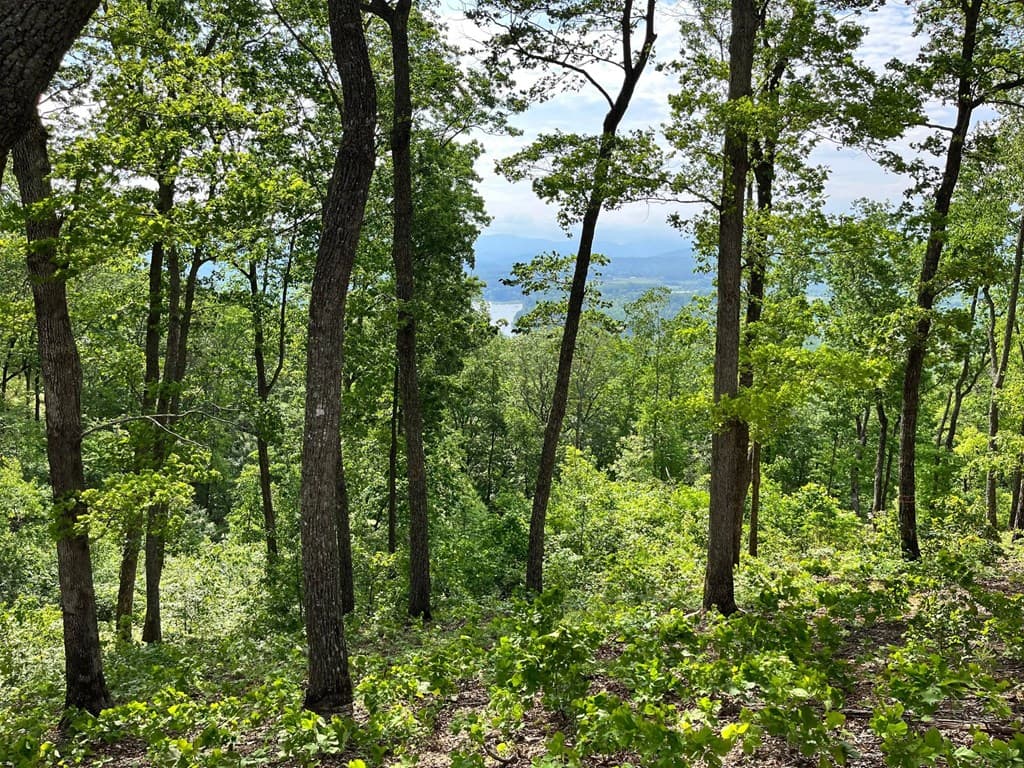 Lot 103 Highland Park, Blairsville GA 30512 - Photo