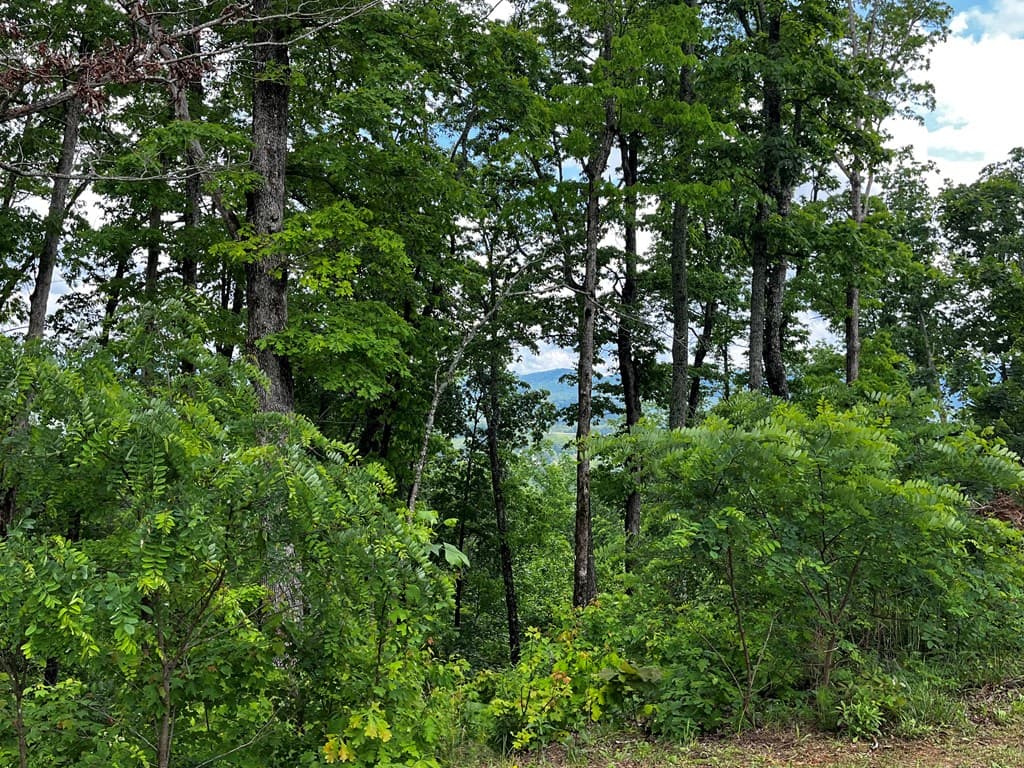 Lot 103 Highland Park, Blairsville GA 30512 - Photo