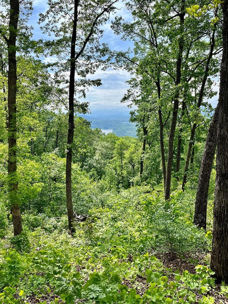 Lot 103 Highland Park, Blairsville GA 30512 - Photo