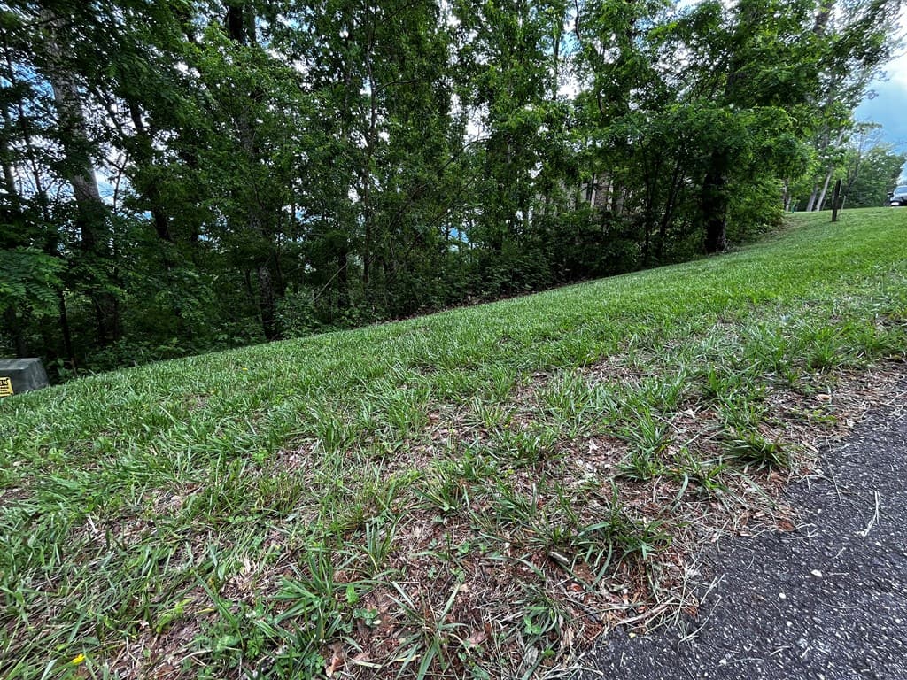 Lot 103 Highland Park, Blairsville GA 30512 - Photo