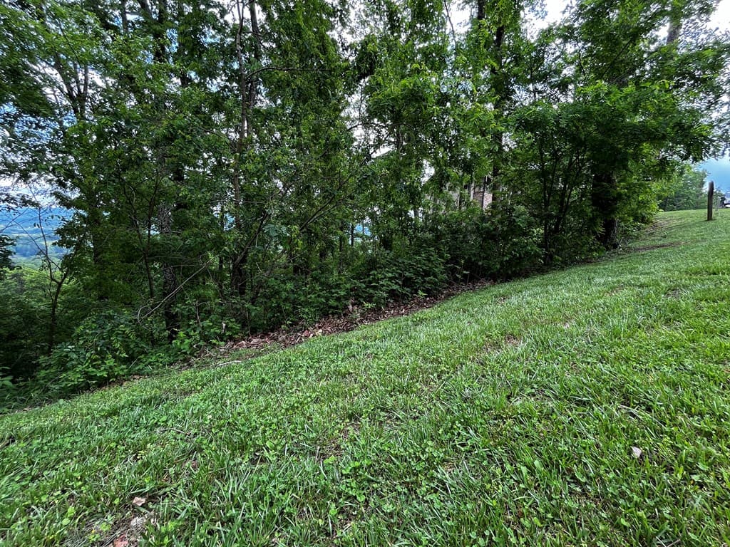 Lot 103 Highland Park, Blairsville GA 30512 - Photo