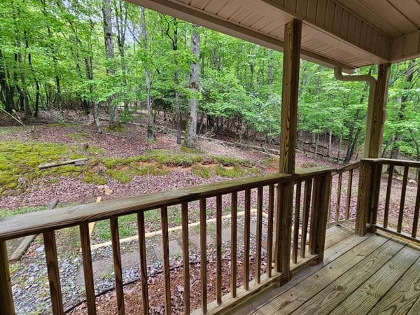 48 Rose Court, Ellijay GA 30540 - Photo