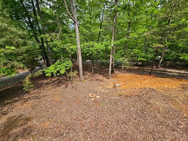 48 Rose Court, Ellijay GA 30540 - Photo