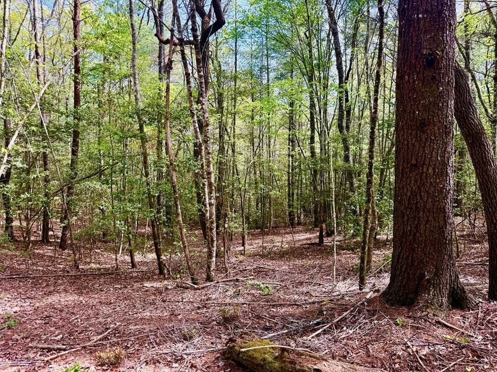 59 Rainy Farm Road, Murphy NC 28906 - Photo