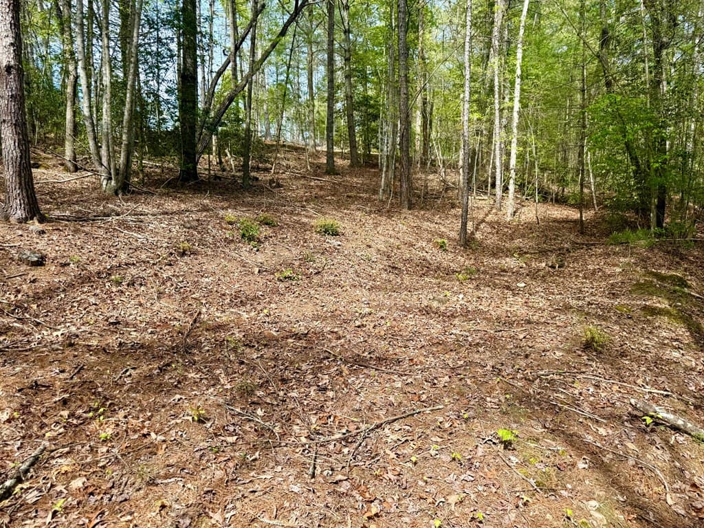 59 Rainy Farm Road, Murphy NC 28906 - Photo