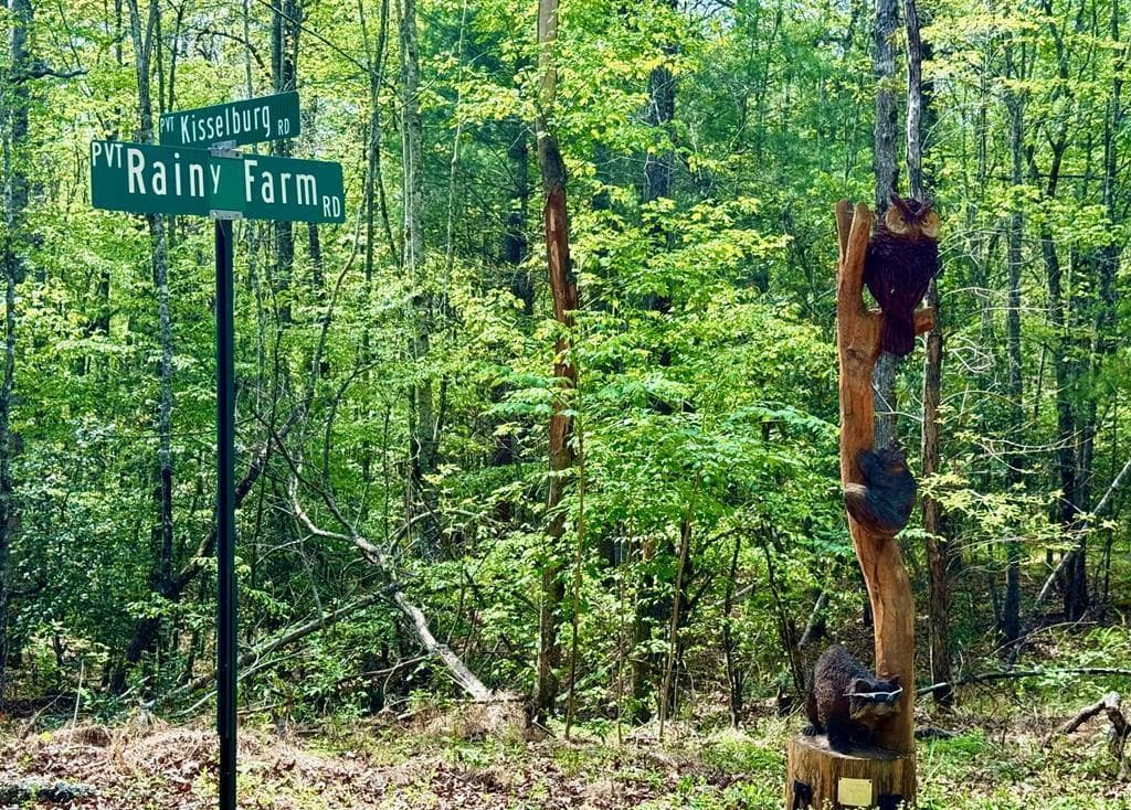 59 Rainy Farm Road, Murphy NC 28906 - Photo