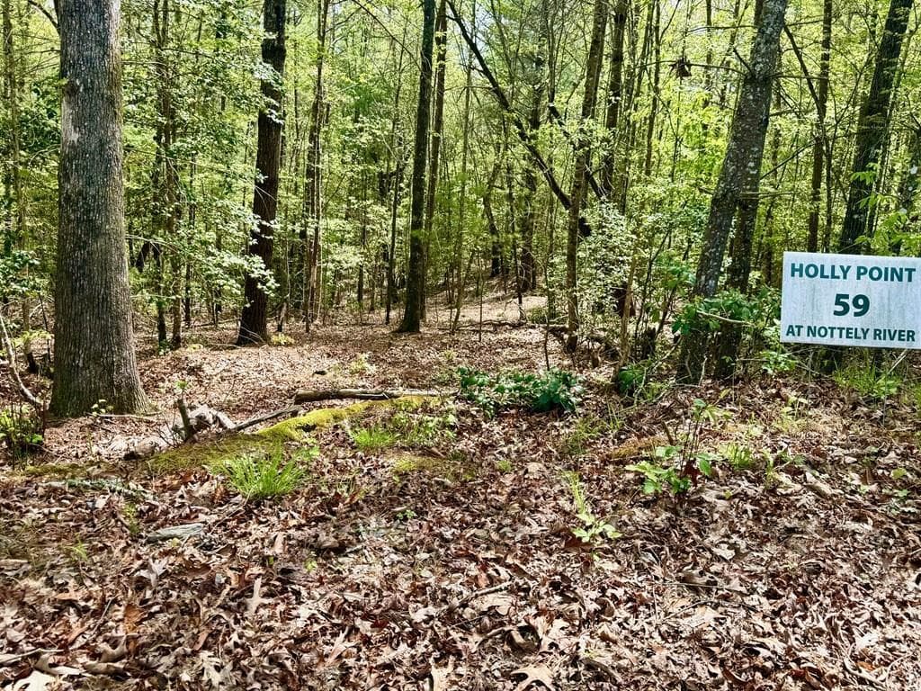 59 Rainy Farm Road, Murphy NC 28906 - Primary photo
