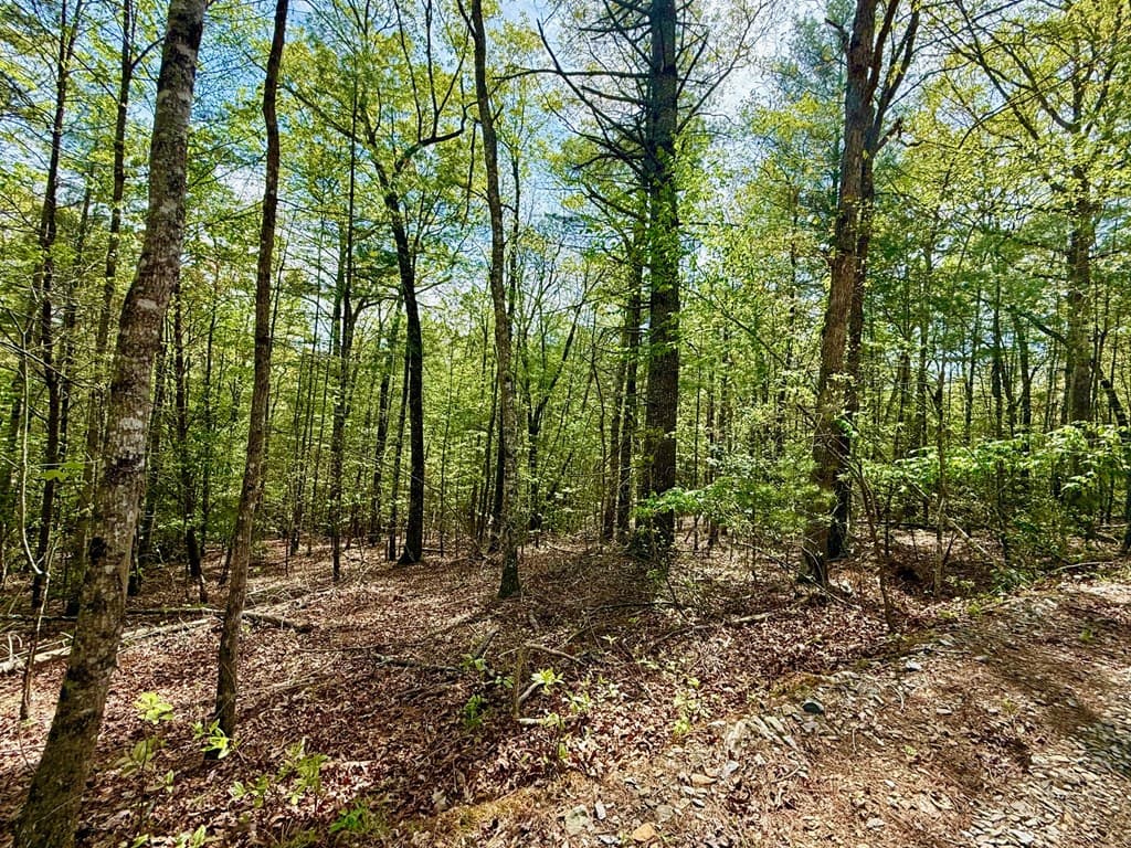 59 Rainy Farm Road, Murphy NC 28906 - Photo